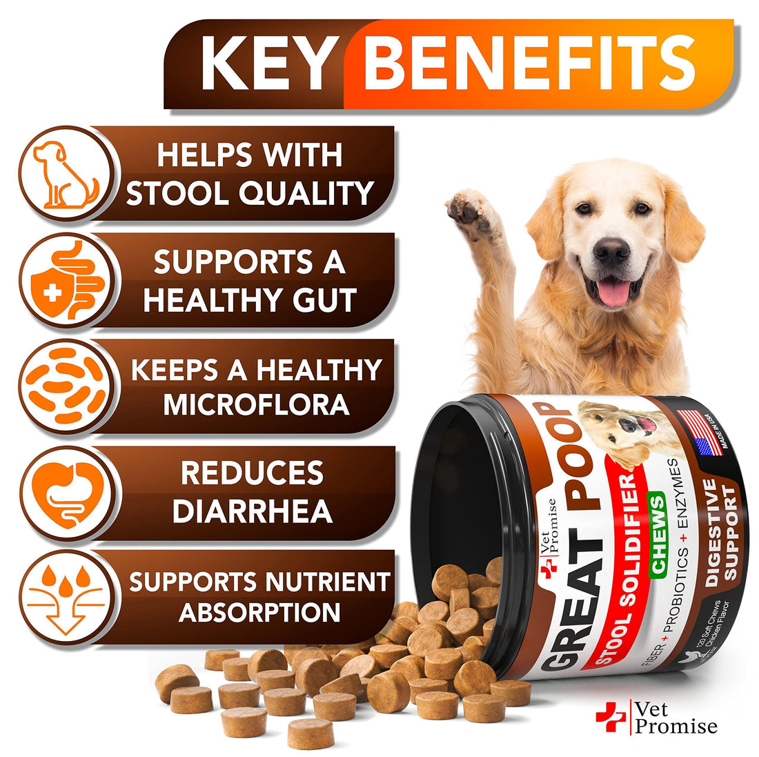 Great Poop Probiotics for Dogs – Digestive Support, Fiber & Stool Softener (4-in-1 Formula)
